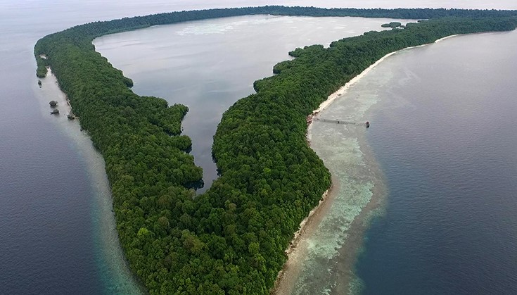Kakaban Jellyfish Lake